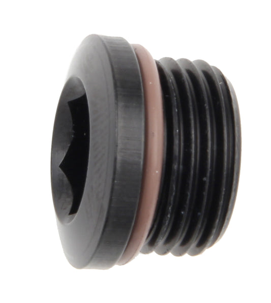 Port Plug Socket Hex Head Fitting #6