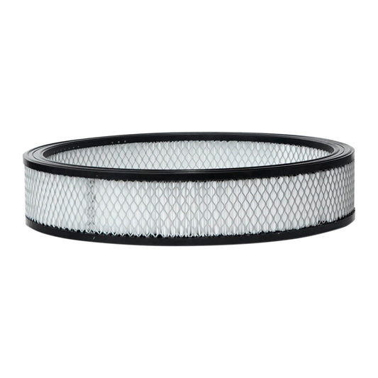 Walker High Efficiency Disposable Air Filter 14 x 4
